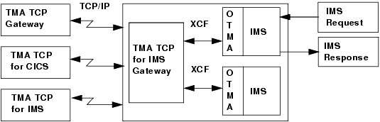 IMSの処理