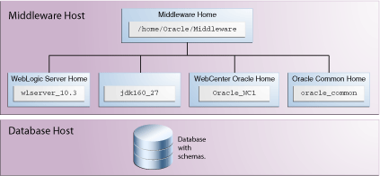 Description of Figure 4 follows