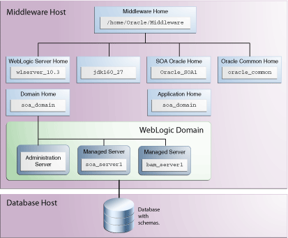 Description of Figure 2 follows