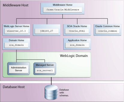 Description of Figure 5 follows