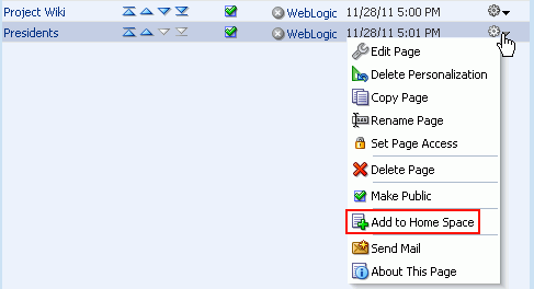 Exposing a Space Page in the Home Space