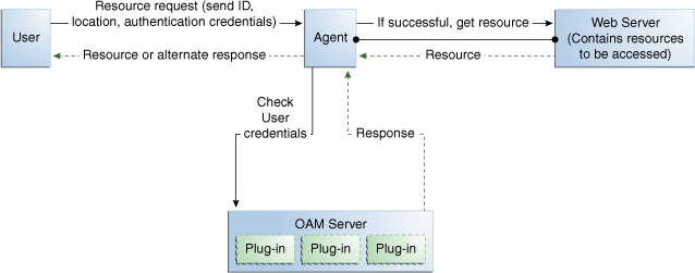 Authentication Model and Plug-ins