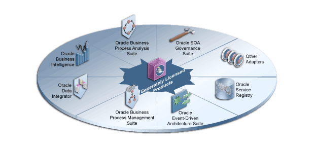 Illustration showing the separately licensed products you can use with Oracle SOA Suite. These products are described in the text for the page.