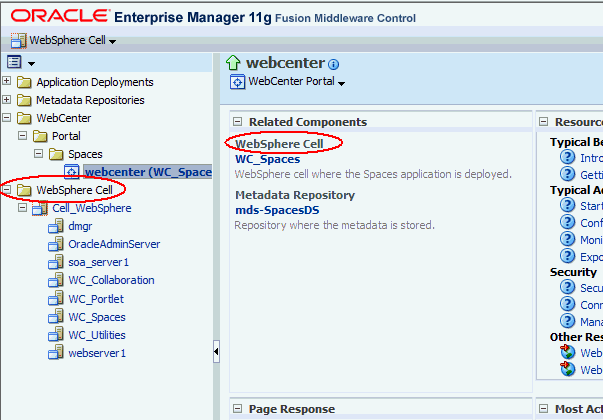 FMW Control home page for Spaces deployment on WebSphere