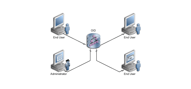 Technical illustration showing Oracle Internet Directory Management