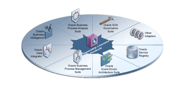 Oracle SOA SuiteŎgpłʃCZXi\}B̐iɂĂ͖{ŐĂ܂B