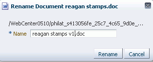 Rename Document dialog box