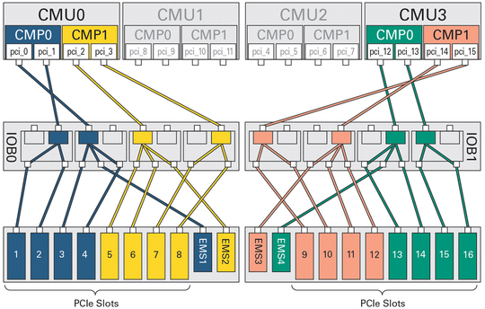 image:Figure showing the primary and secondary root complexes of a half-populated DCU0.