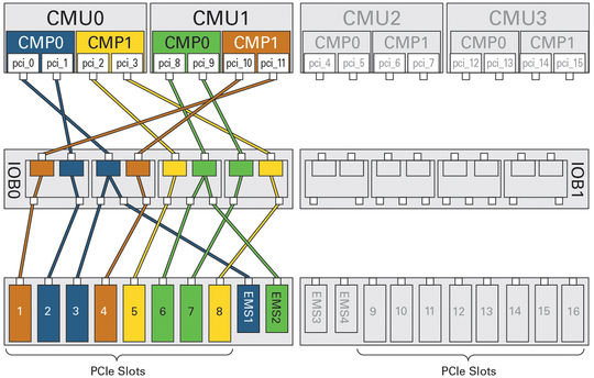 image:Figure showing the primary root complexes of a half-populated DCU0.