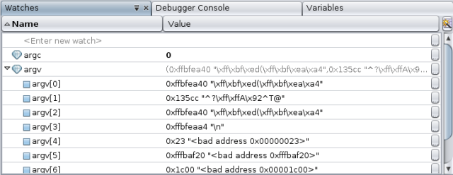 image:Watches window with argc value in bold