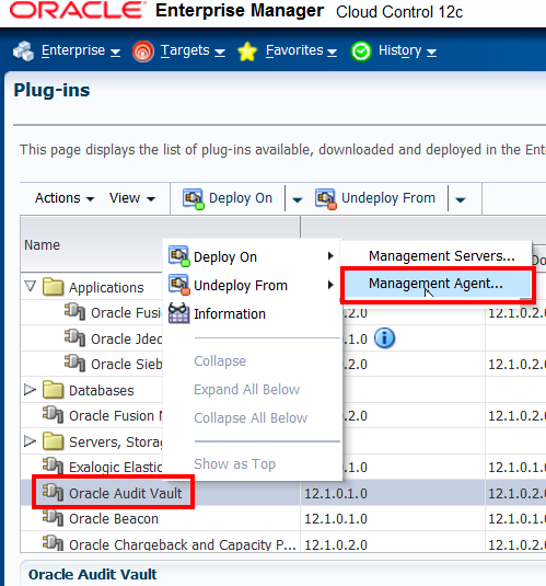 deploy on management agent