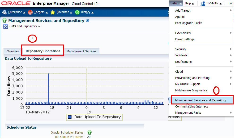 repository operations