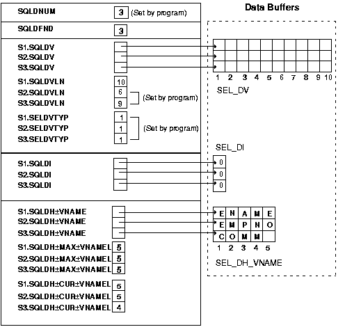 select descriptor before the FETCH select descriptor before the FETCH