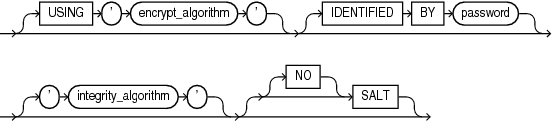 Description of encryption_spec.gif follows Description of encryption_spec.gif follows