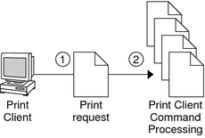 image:印刷クライアントソフトウェアがプリンタを見つける手順を示す図。さまざまなプリンタ資源も示しています。次に説明します。