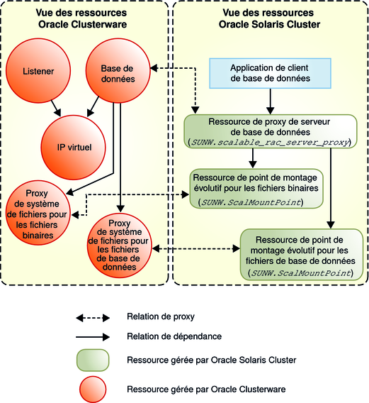 image:Diagramme illustrant les ressources proxy pour les configurations d'Oracle 10g, 11g ou 12c avec un système de fichiers partagé