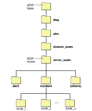 Description of Figure 13-1 follows