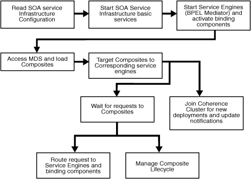 Startup and Shutdown Lifecyle