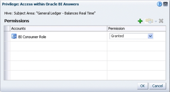 BI Analytics Privilege Name dialog.