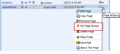 Set Page Access option on a business role page