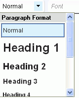 RTE Paragraph Format drop-down menu