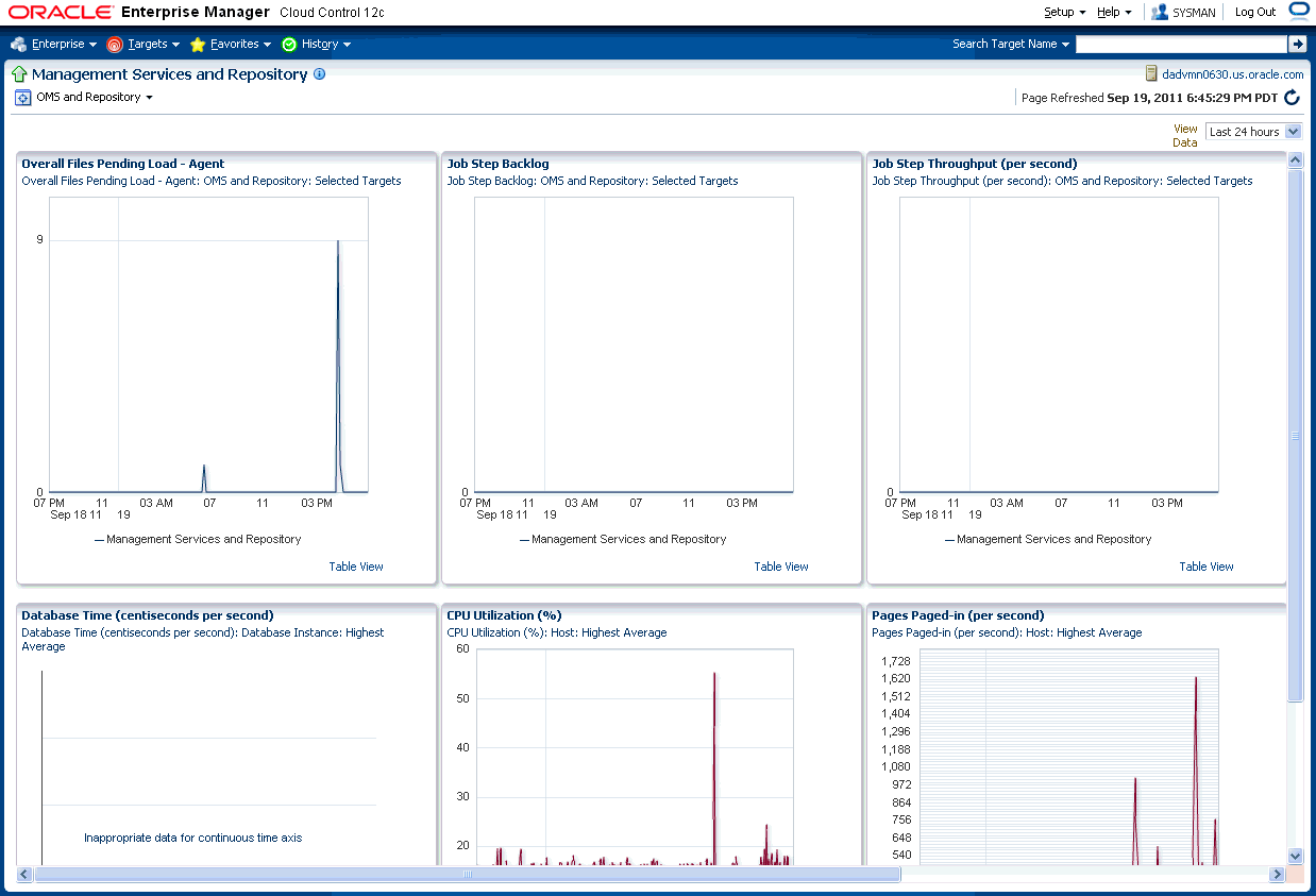 Graphic shows the Enterprise Manager Charts page.
