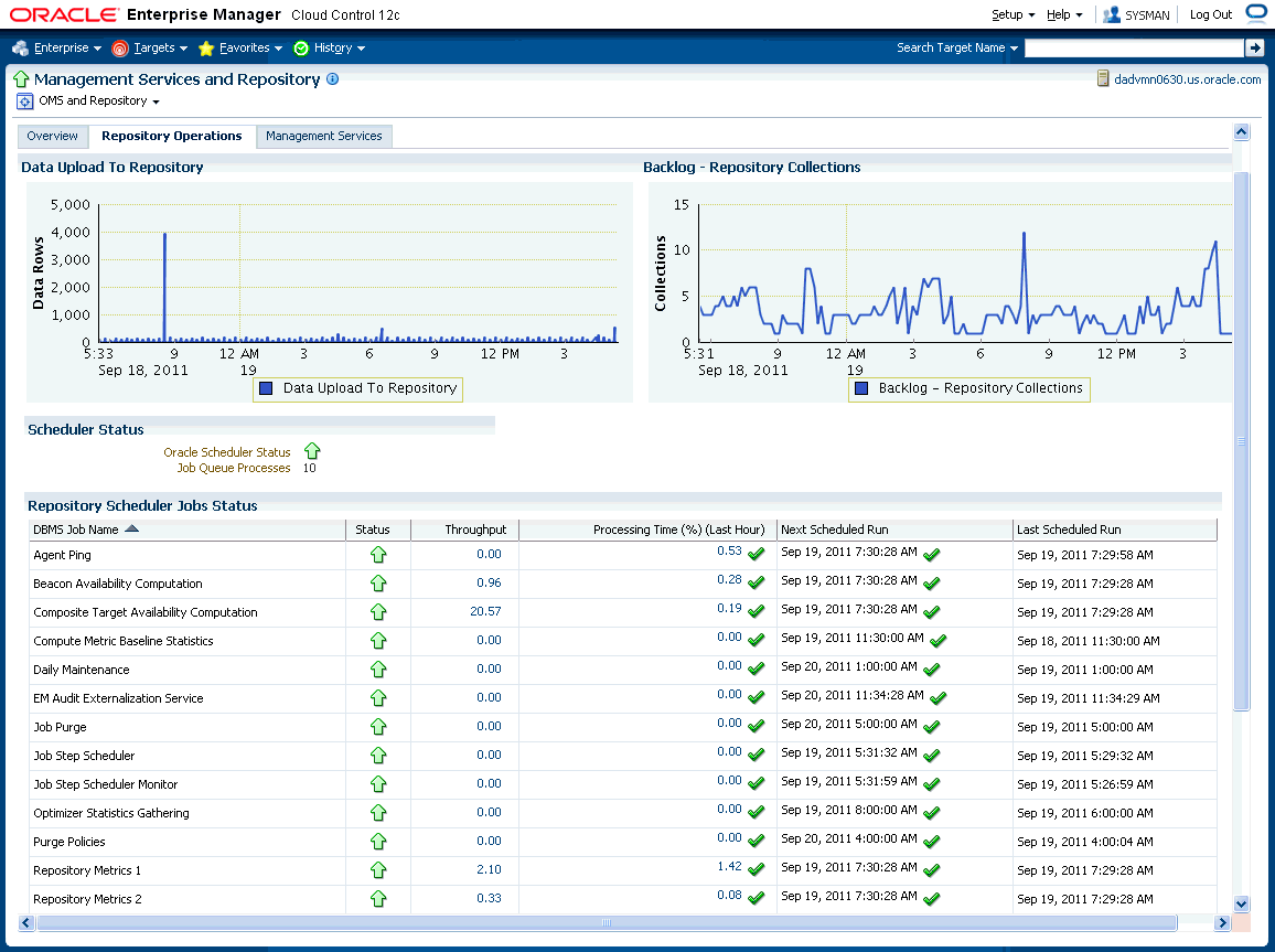 Graphic displays the repository operations page.