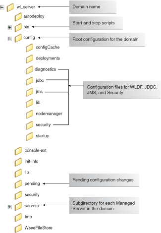 Domain Directory Structure