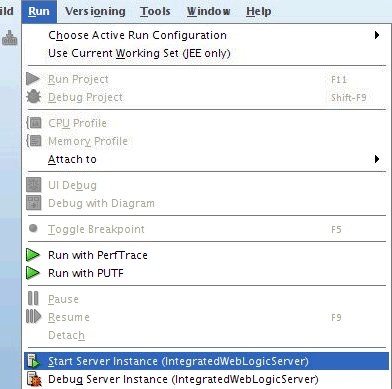 Start Server Using Start Server Instance