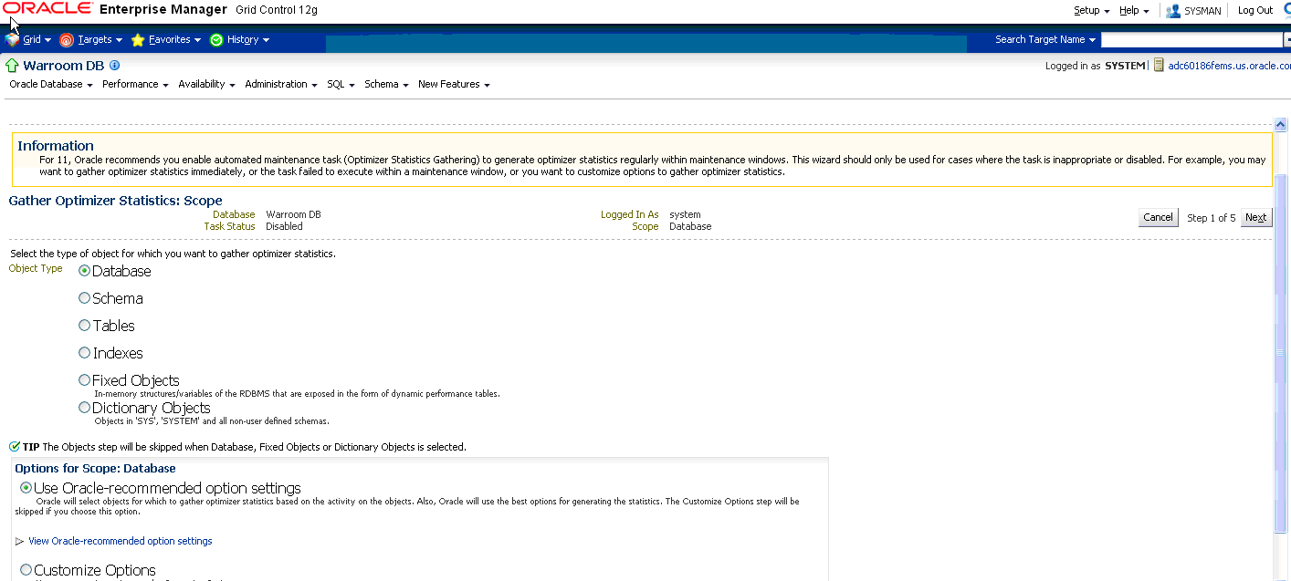 Using the Fusion Applications Control to Gather Statistics