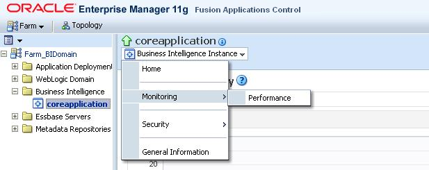 Checking BI Performance Metrics