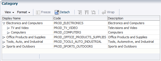 Example of categories for an extensible flexfield