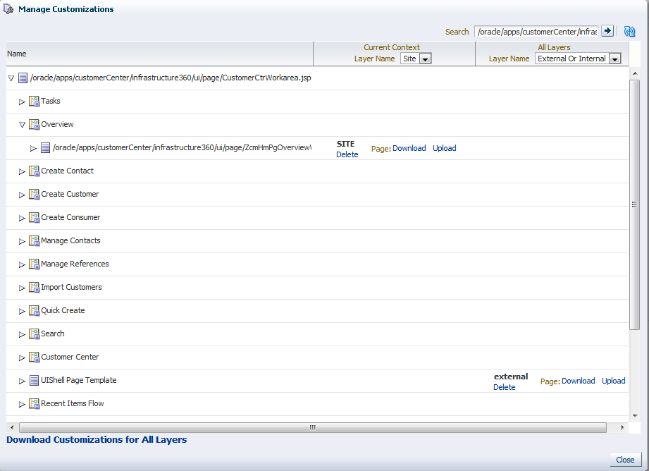 Customization Manager window