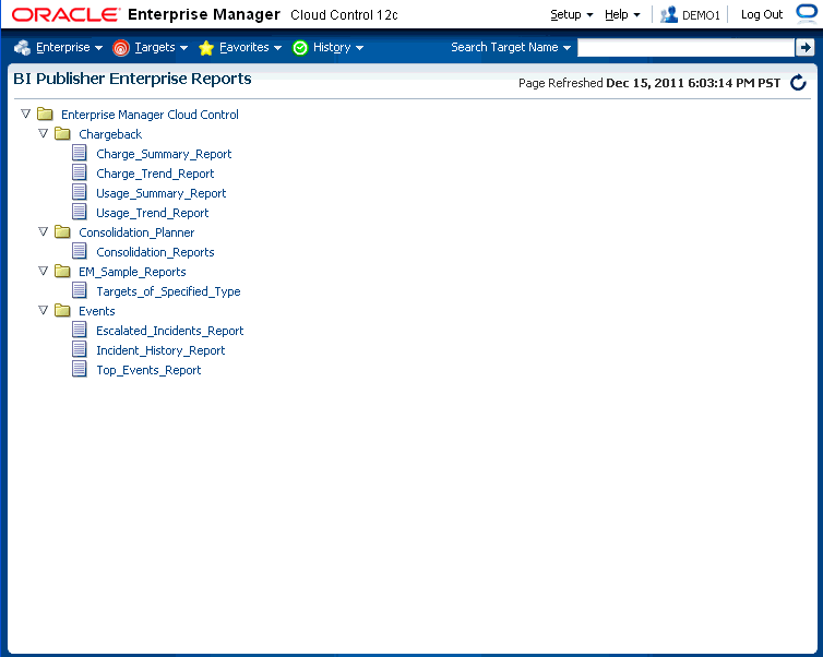 BI Publisher reports displayed through Enterprise Manager