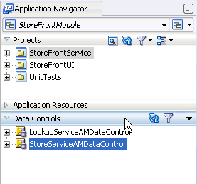 Data Controls Panel in the Application Navigator