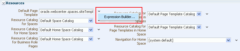 Using the Expression Builder for a Resource