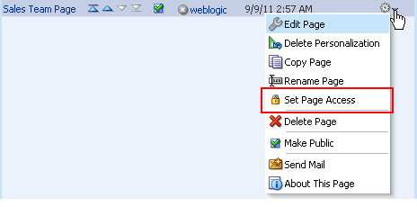 Set Page Access option on a business role page