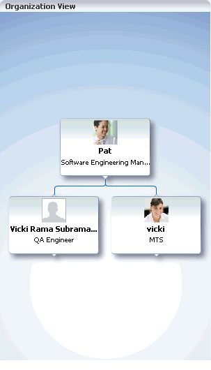 Organization View task flow