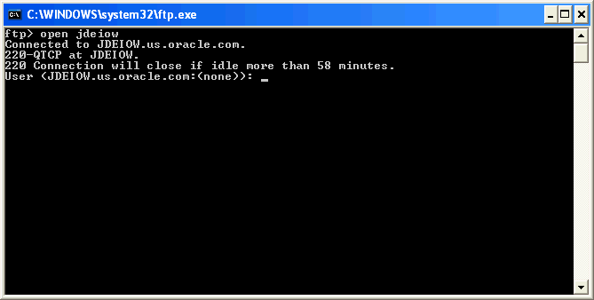 Description of ftp_exe_comnd_window.gif follows