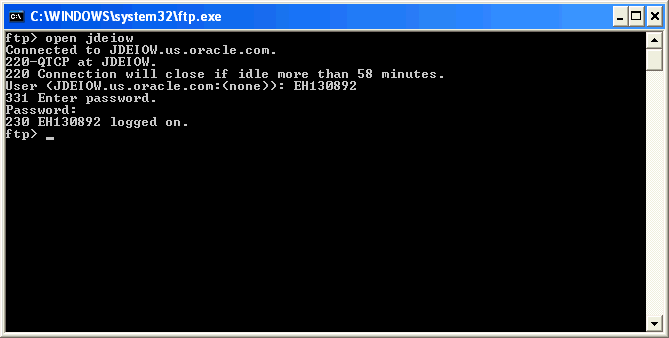 Description of ftp_exe_comnd_window_1.gif follows