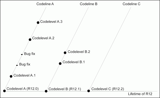 the picture is described in the document text