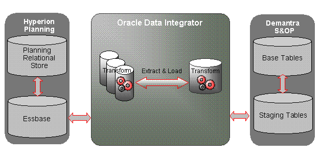 the picture is described in the document text