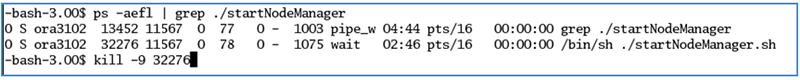 the picture is described in the document text