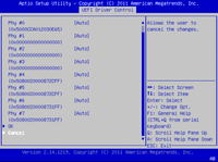 image:This figure shows the BIOS LSI MegaRAID Configuration Utility Controller Management screen.