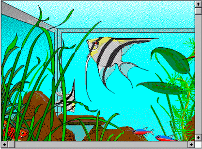 Graphic of an aquarium in the view window