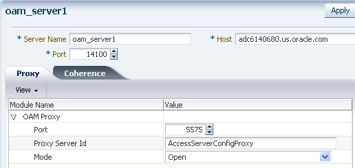 OAM server instance configuration