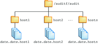 image:この図は、トップディレクトリの名前がホスト名である監査ルートディレクトリを示しています。