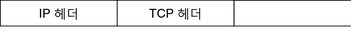 image:그림은 IP 헤더 다음에 TCP 헤더를 표시합니다. TCP 헤더는 보호되지 않습니다.