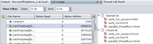 image:一時ファイルの関数リストを示す「I/O 使用 (I/O Usage)」の詳細