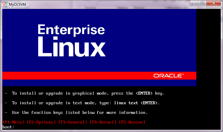 This figure shows the virtual machine console screen.